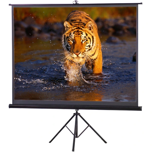 Projector Screen 120 inch Tripod Portable 6x8 Feet 4:3MW Speed-X - Marko