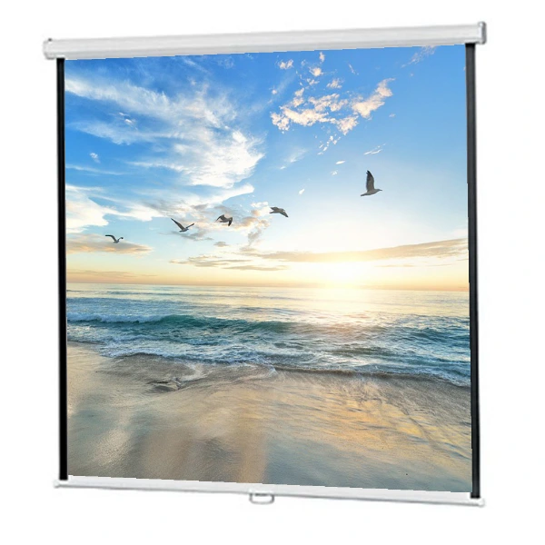 Projector Screen 72 inch Manual 6x6 Feet 1:1MW Speed-X (FINE QUALITY ...